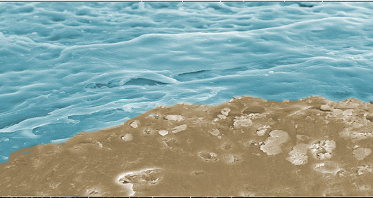 Imagem de estrutura azul sobre marrom, que lembra o mar sobre a areia do litorall (Autores: Rodolfo de Melo Nunes, Fernanda Maria Porto Ximenes, Ana Carolina Matias Dinelly Pinto, Francisco Airton Castro da Rocha, Virgínia Cláudia Carneiro Girão))