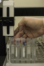 Tubos com proteína purificada (Foto: Jr. Panela/UFC)
