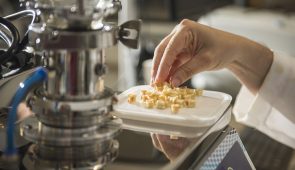 Uma mão pega pequenos pedaços de fruta seca de uma vasilha posta sobre um equipamento de laboratório (Foto: Jr. Panela/UFC)