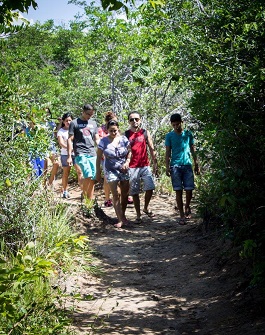 Estudantes caminham em trilha entre árvores (Foto: Mozart Lucena)
