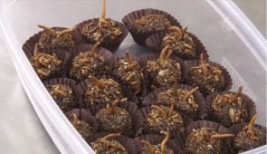 Brigadeiro com crosta de grilo e tenébrio, um dos pratos degustados nos Encontros Universitários deste ano (Imagens: Nilson Filho/UFC TV)