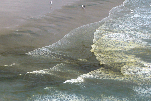 Orla da praia do Futuro, com manchas marrons (Foto: Divulgação)