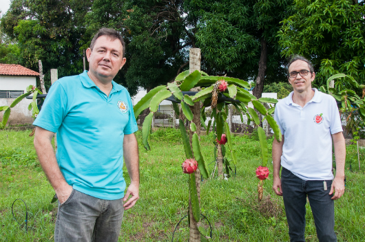Prof. Breno Freitas e Prof. Márcio Corrêa em frente a uma planta (Foto: Ribamar Neto/UFC)