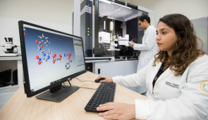 Pesquisadora acompanha estrutura molecular de composto em tela de computador ((Foto: Jr Panela/Agência UFC)