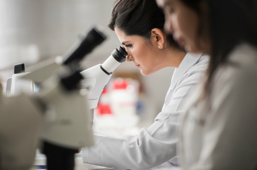Pesquisadora analisa medicamentos em microscópio no Labcres (Foto: Jr Panela/Agência UFC)