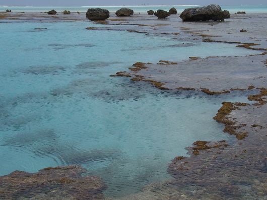 Recife do Atol das Rocas durante maré baixa. Ao fundo (cerca de 3 quilômetros distante) observa-se a ilha arenosa do Cemitério (Foto: Divulgação/Marcelo Soares)