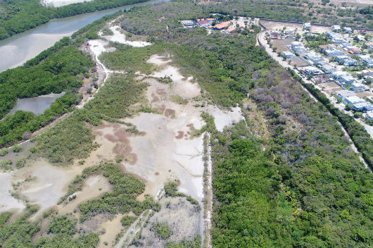 Vista aérea do manguezal do rio Pacoti, na Região Metropolitana de Fortaleza, onde pesquisa semelhante está sendo desenvolvida (Foto: Marcus Vinicius/LABOMAR)